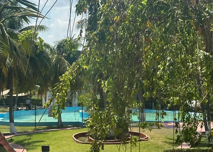 Suite Poktapok